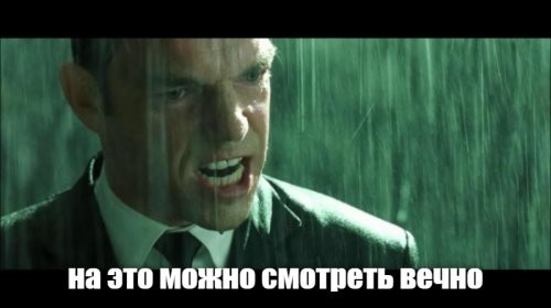 "Лежать! Мордой в землю!": в Саратове произошло эпичное задержание мигрантов