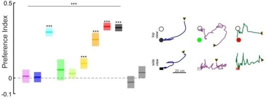 *Камеру где комар виден* - а это пару лет назад попадалось другое исследование )))
Там отслеживали движение сразу сотен комаров нормально. Кстати, интересно само исследование было - хрен бы с камерами. Они считывали как каждый комар из кучи на какой цвет летит