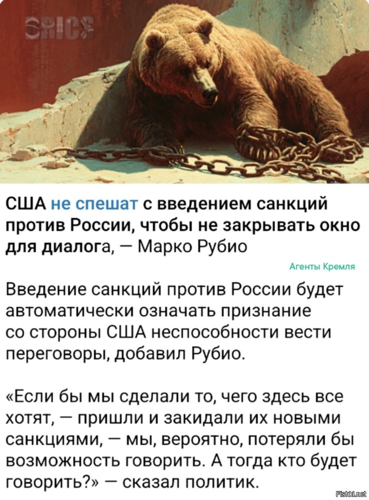 Лишь о политике