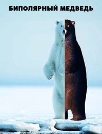 Не ищите здесь смысл. Здесь в основном маразм