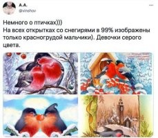 Скрины из соцсетей