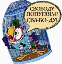 Пёс прогрыз стенку переноски и гулял по багажному отсеку самолета