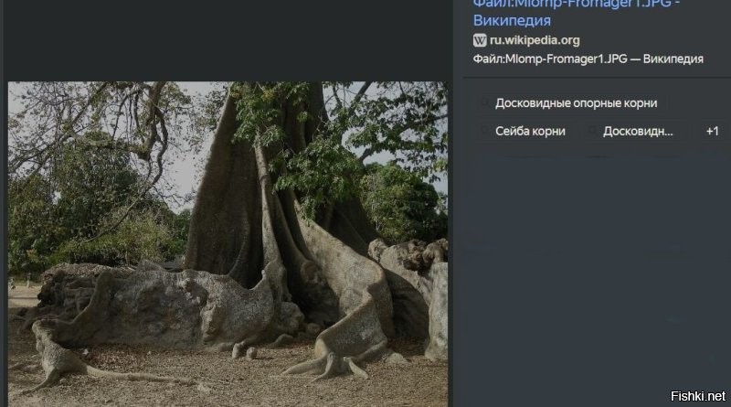 17  предметов, которые выглядят много больше обычных