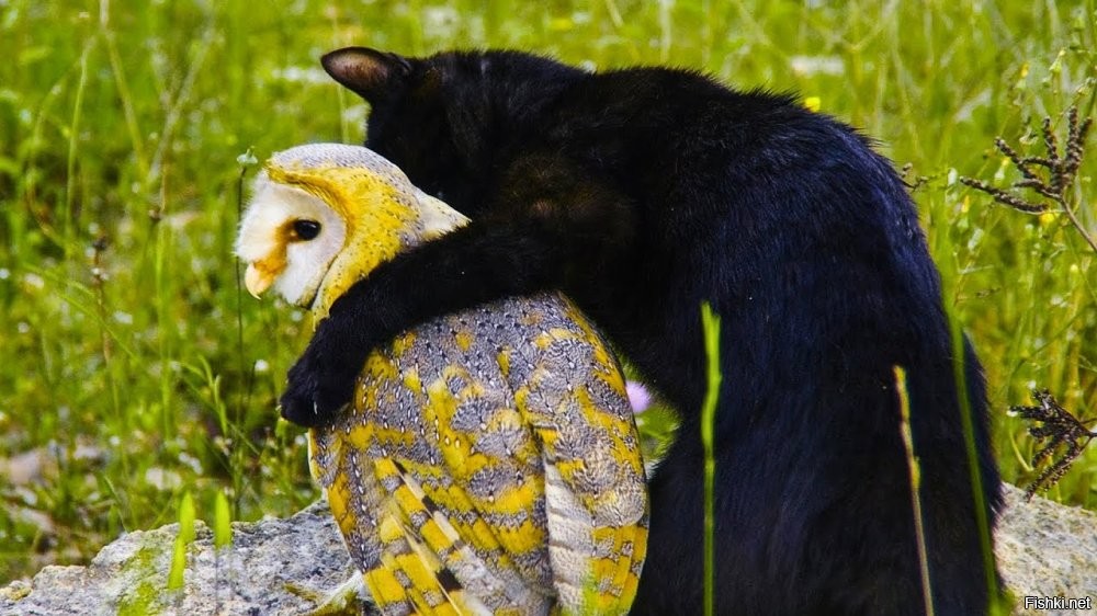 Точно , вчера пятница ..... Друг , помоги ...