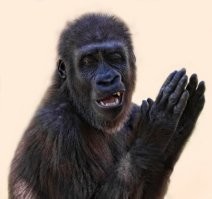 Ты не ты, когда голоден!