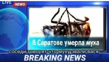 Жестокие кадры битвы сотрудницы ПВЗ с надоедливым комаром