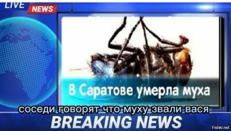 Жестокие кадры битвы сотрудницы ПВЗ с надоедливым комаром