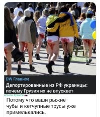 О политике и не только