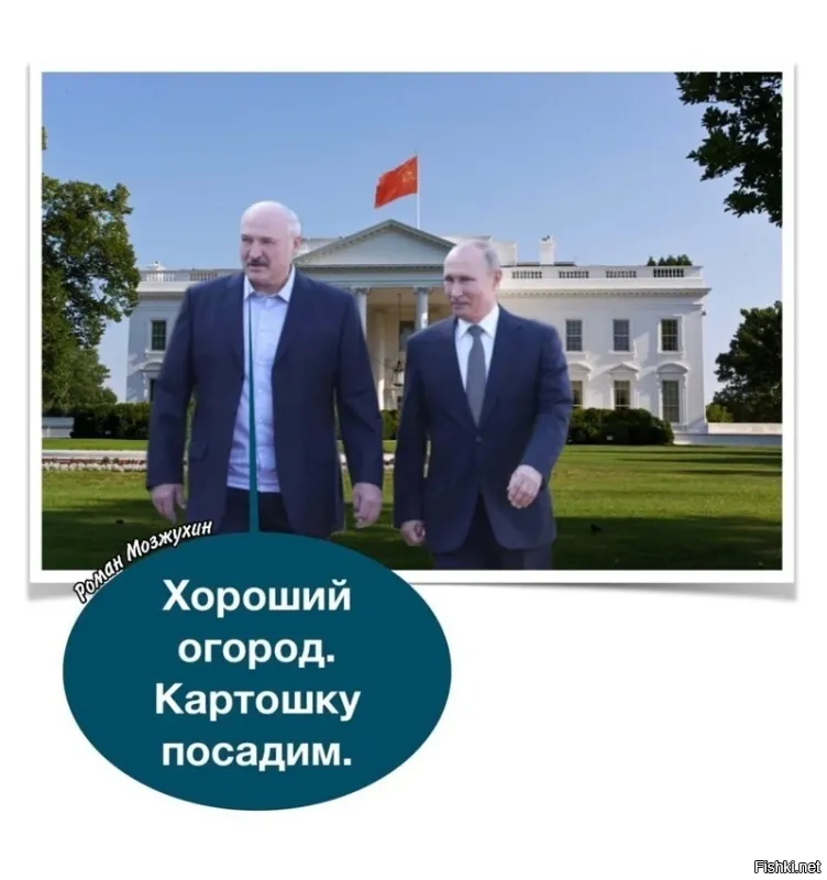 О политике и не только