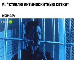 Мокрецы: их не остановит даже противомоскитная сетка