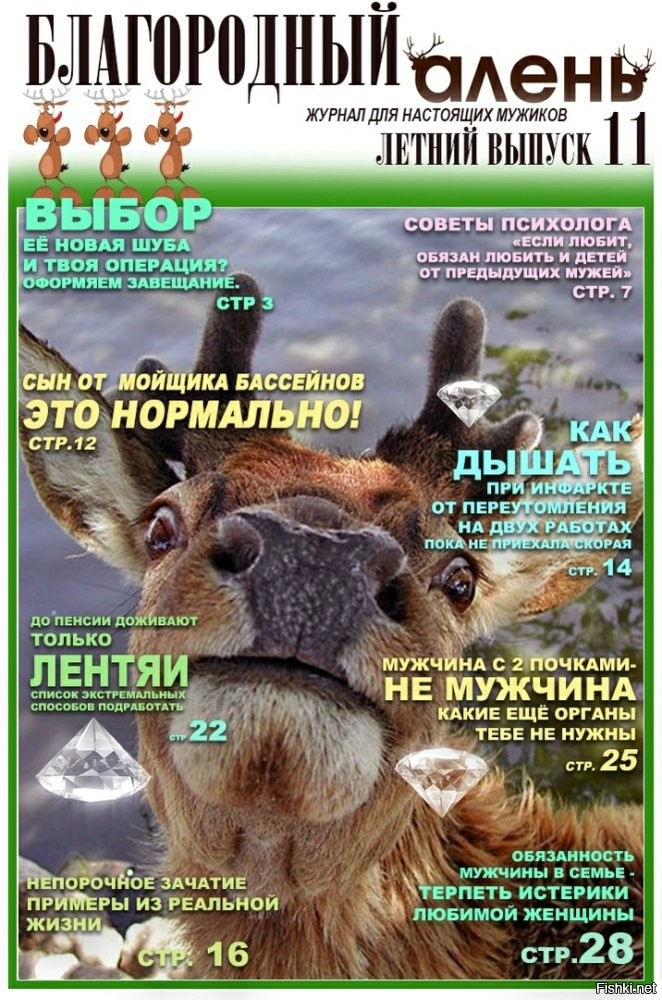 Лучший друг