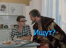 Ворона разбила стекло автомобиля