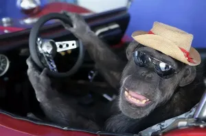 Яркий представитель BMW устроил ДТП