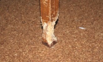 Если нету, то не бобр.