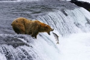 Мужчина ловил рыбу в водопаде