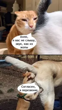 Не ищите здесь смысл. Здесь в основном маразм