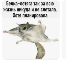 Скрины из соцсетей&nbsp;&nbsp;&nbsp;&nbsp;&nbsp;&nbsp;&nbsp;&nbsp;&nbsp;&nbsp;&nbsp;&nbsp;