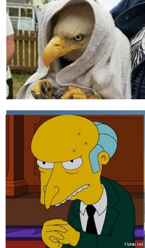 Всё вразнобой&nbsp;