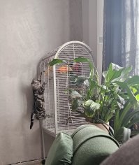 Мои. Пока без жертв.