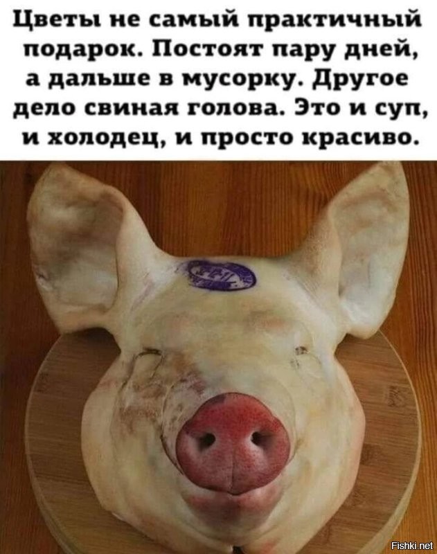 Не ищите здесь смысл. Здесь в основном маразм