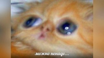 В России снимут сериал по мотивам советской ленты «Приключения Электроника»