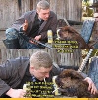 Обычное домашнее животное в Польше