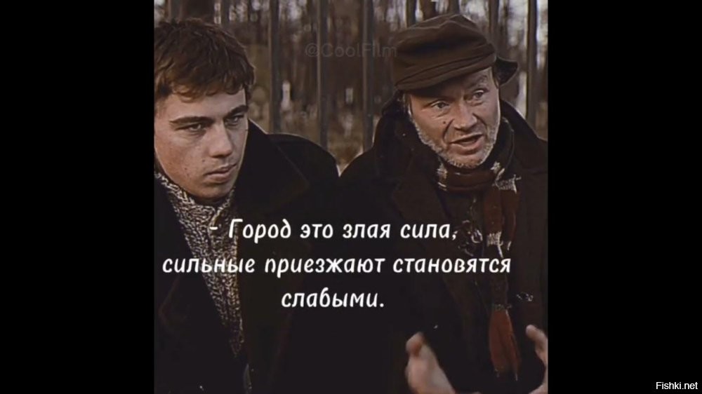 Подкараулил и бросился под автобус