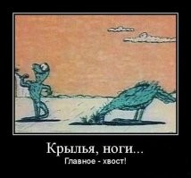Коты и их хвосты
