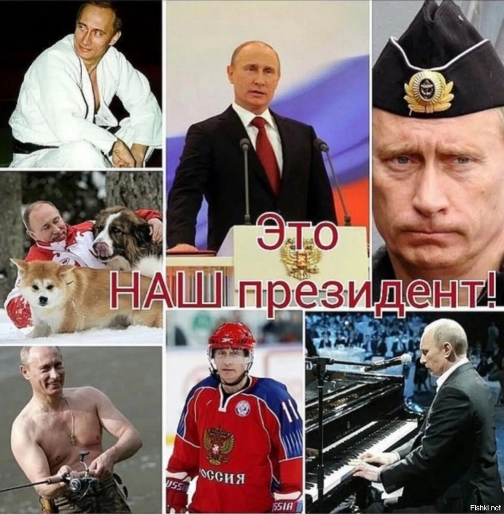 У нас ПУТИНА МНОГО! На все задачи