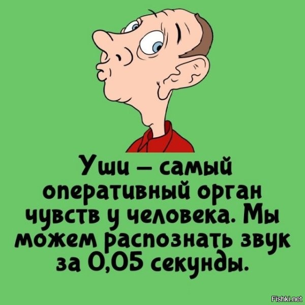 Урок в школе. Марья Ивановна спрашивает:
- Дети, что, по-вашему, самое быстрое в мире?
- Слово - отвечает Машенька - не успеешь подумать, а оно уже вылетело.
- Свет - говорит Петечка - только тронул выключатель, а он уже горит.
Вовочка встал и говорит
- А у меня вчера понос был, так я ни слова сказать, ни свет включить не успел.