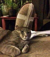 Ага... Котриарх всея Руси!!