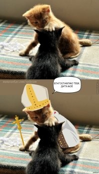 Пушистый церковный работник