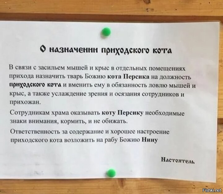 Пушистый церковный работник