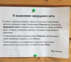 Пушистый церковный работник