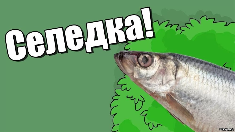 Интересные факты о сельдяном короле