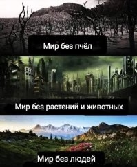 Рой пчёл «оккупировал» велосипед