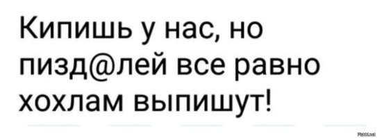 Лишь о политике
