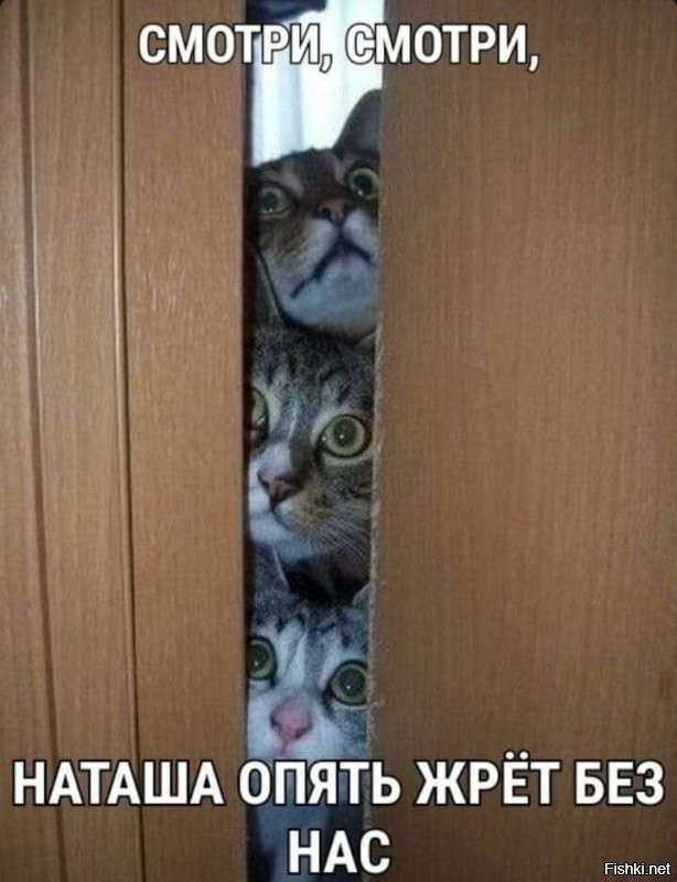 Доброе утро