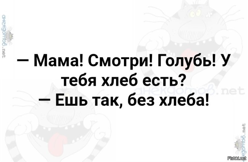 Солянка от 03.07.2025