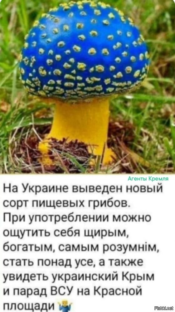 Секрет украинской перемоги как бы приоткрыт