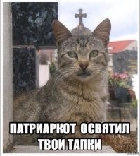 Ахахах!!))