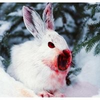 Не ищите здесь смысл. Здесь в основном маразм