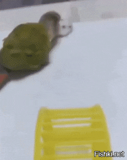 Не тут-то было - продолжим!