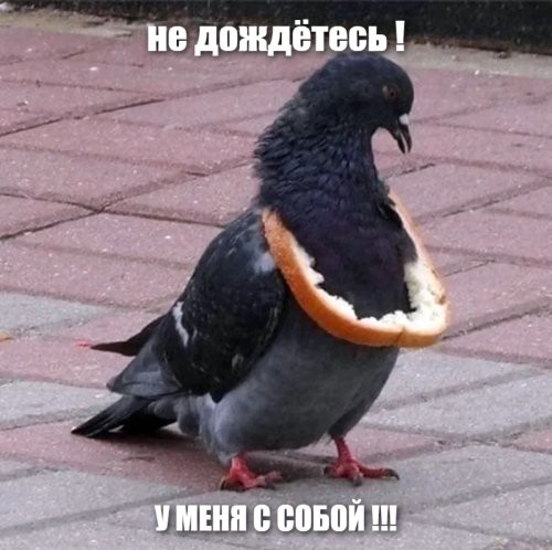 Солянка от 03.07.2025