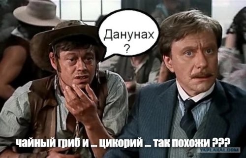 А вдруг ты не знал…