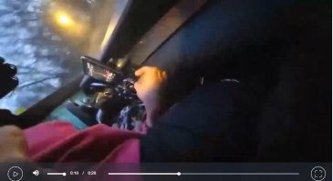 Судя по скрюченной культе норм подолбились жуки в коробочке)