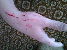 Не ищите здесь смысл. Здесь в основном маразм