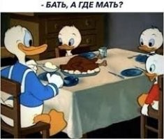 Голуби полакомились мясом для шаурмы в ларьке