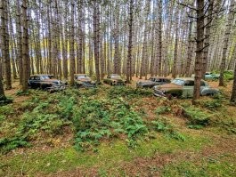 На общую тему&nbsp;