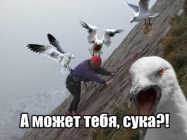 Не ищите здесь смысл. Здесь в основном маразм